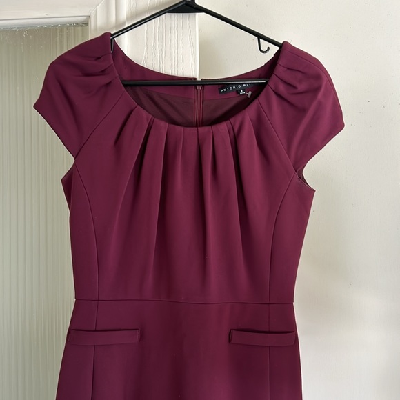 ANTONIO MELANI Dresses & Skirts - #061 Antonio Melani Sheath Dress Maroon (2)